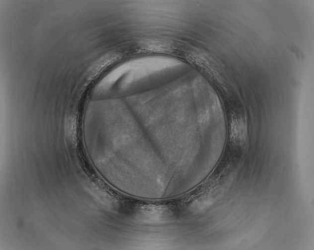 X0000111480444200908111205