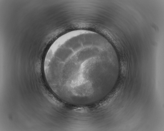 X0000111480447200908111205