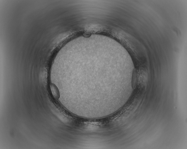 X0000111480448200908111205