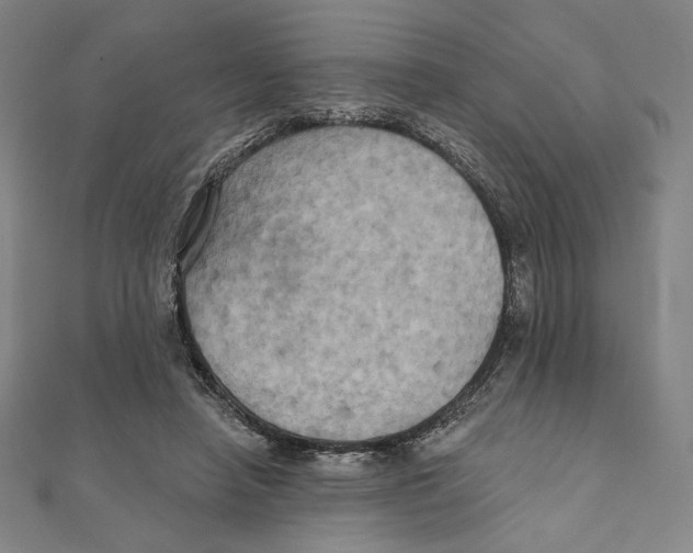 X0000111480450200908111205