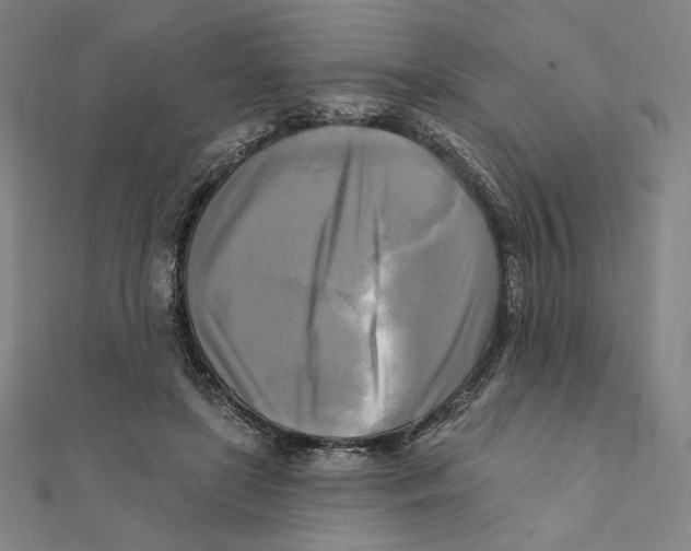 X0000111480451200908111205