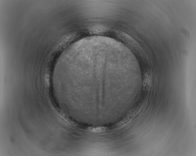 X0000111480452200908111205