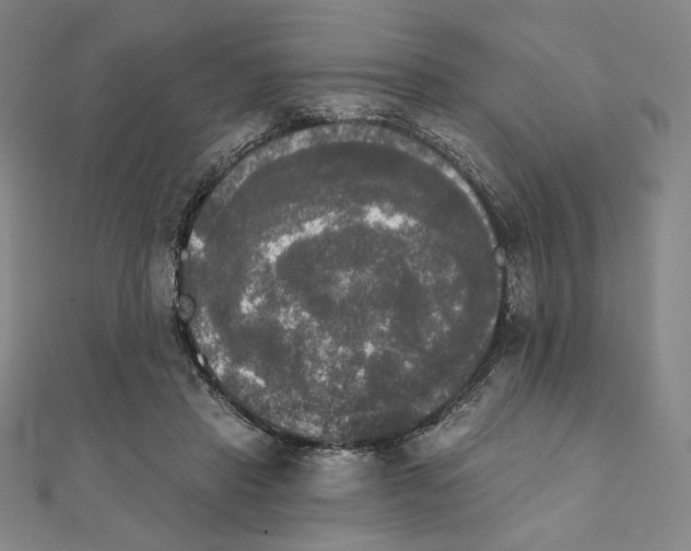 X0000111480453200908111205