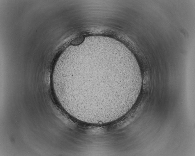 X0000111480454200908111205
