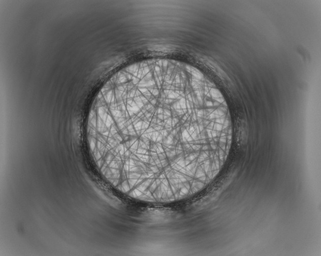 X0000111480455200908111205
