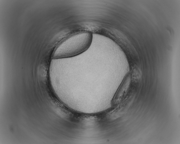 X0000111480456200908111205