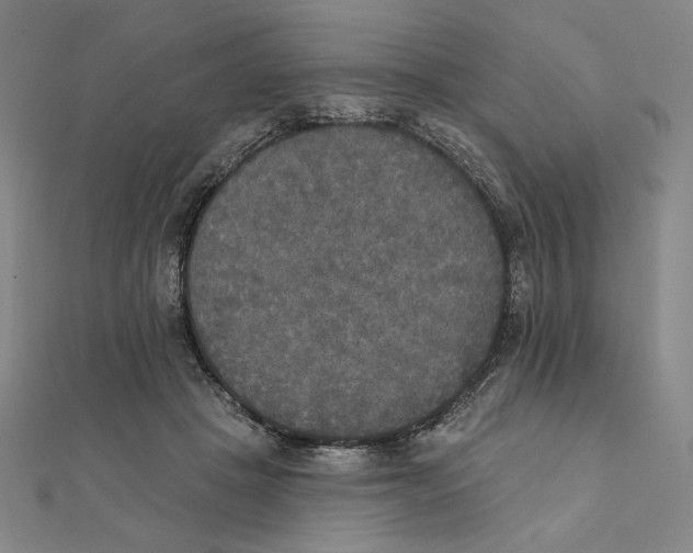 X0000111480457200908111205