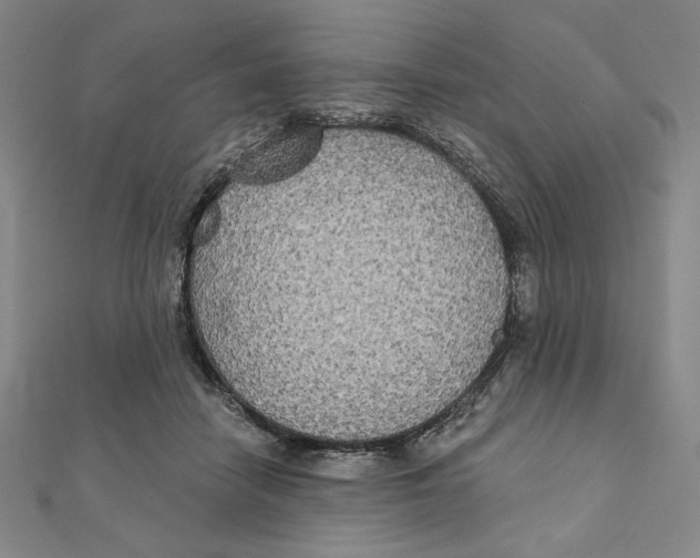 X0000111480458200908111205