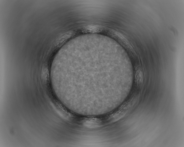 X0000111480459200908111205