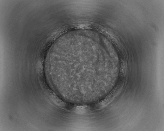 X0000111480461200908111205