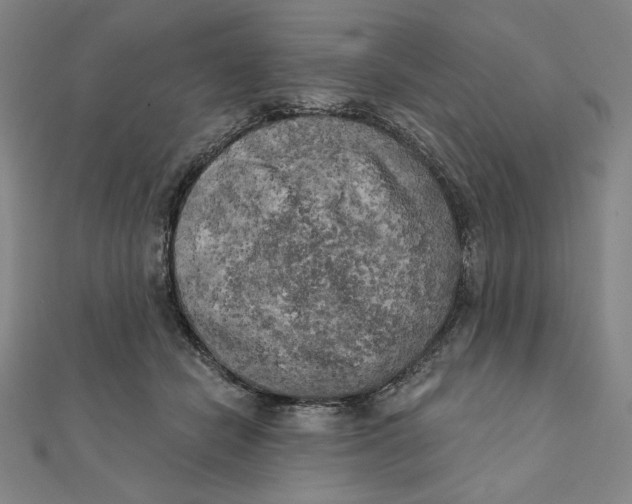 X0000111480462200908111205