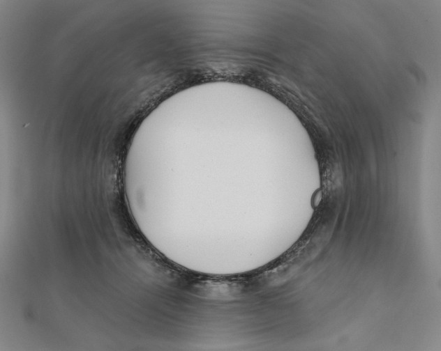 X0000111480464200908111205