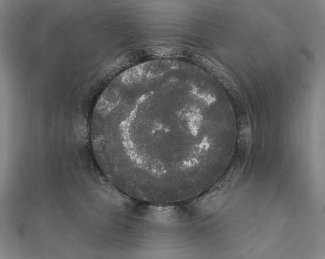 X0000111480469200908111205