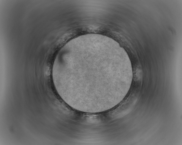 X0000111480472200908111205