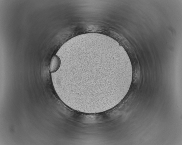 X0000111480473200908111205