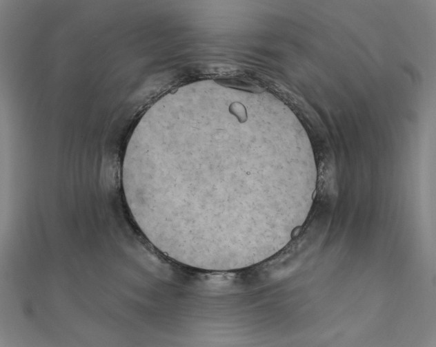 X0000111480474200908111205