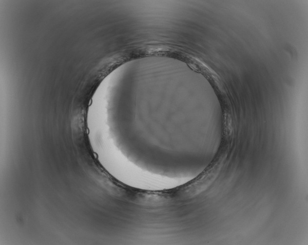 X0000111480475200908111205