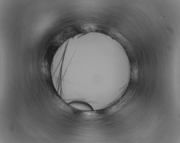 X0000111480477200908111205