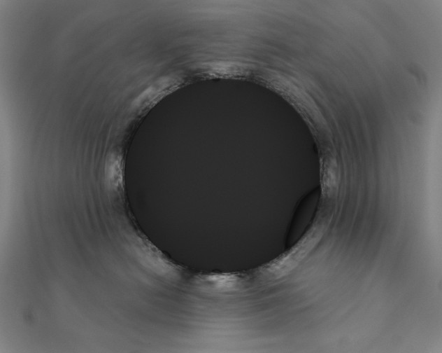X0000111480478200908111205