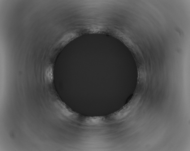 X0000111480479200908111205