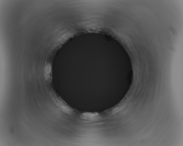 X0000111480480200908111205