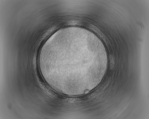X0000111480482200908111205