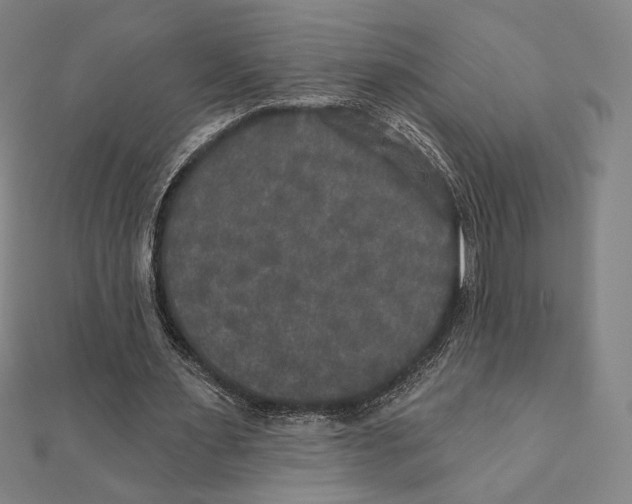 X0000111480483200908111205