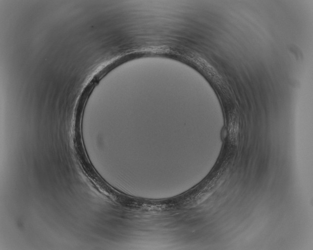 X0000111480484200908111205