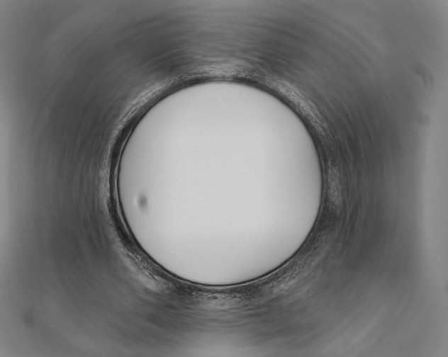 X0000111480486200908111205