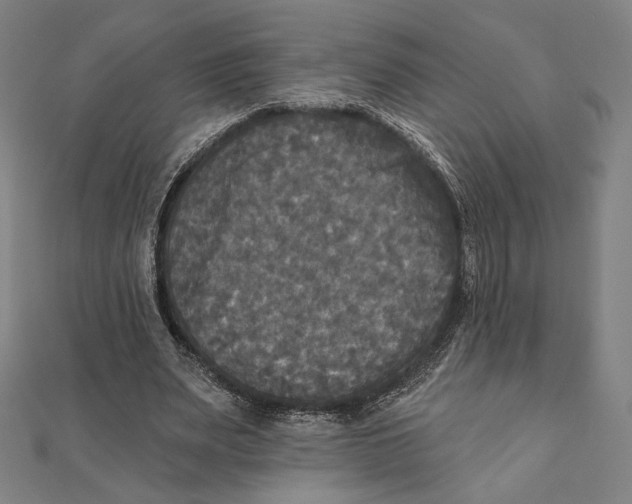 X0000111480487200908111205