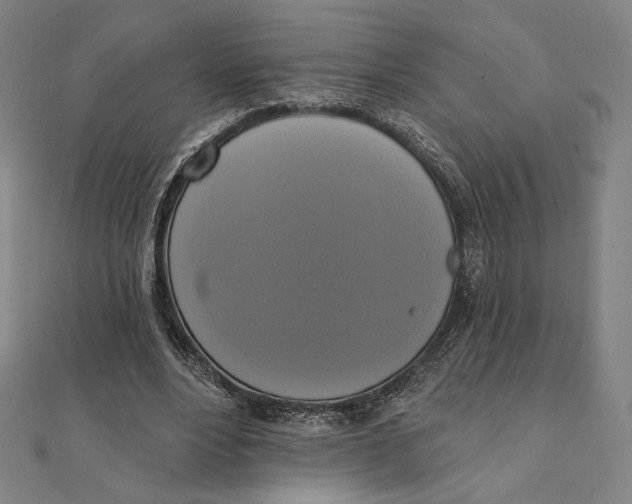 X0000111480488200908111205
