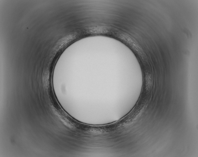 X0000111480490200908111204