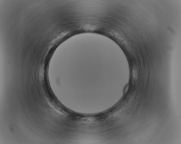 X0000111480492200908111204