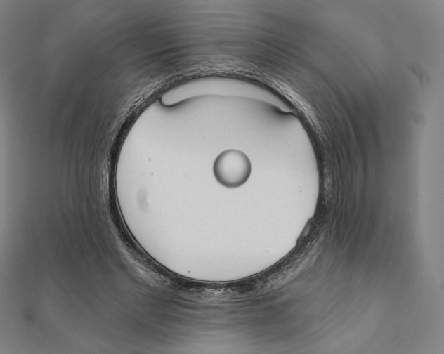 X0000111480493200908111204
