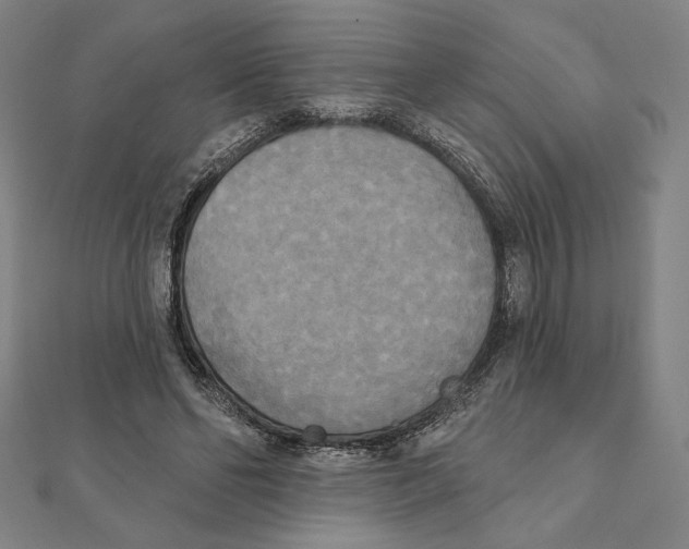 X0000111480494200908111204