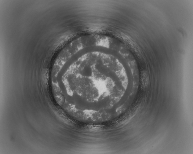 X0000111480495200908111204