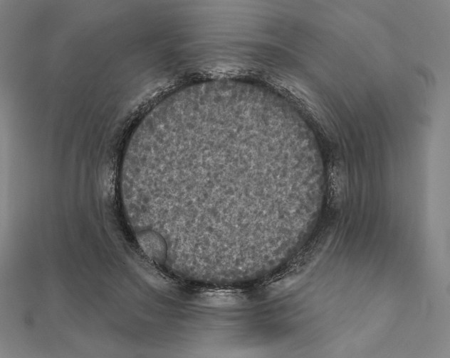 X0000111480499200908111204