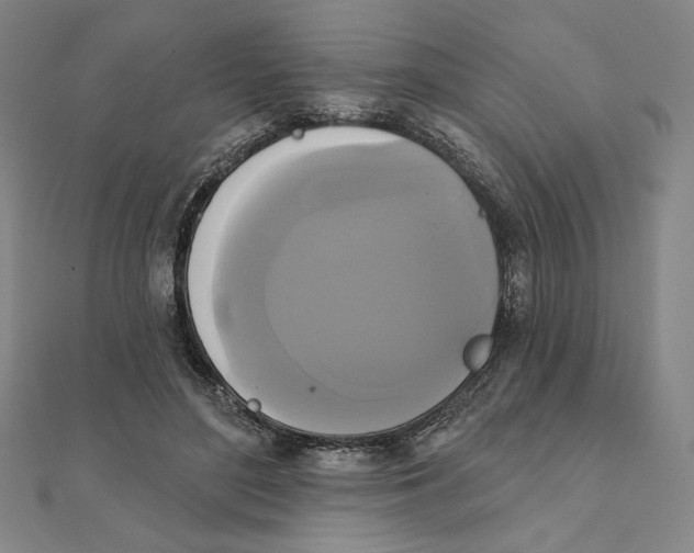 X0000111480500200908111204