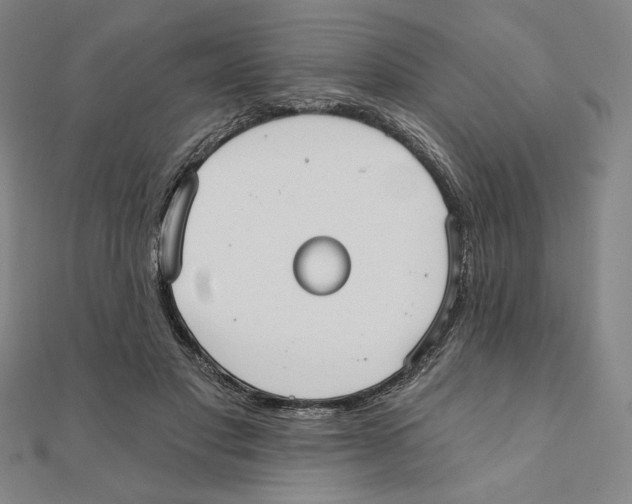 X0000111480501200908111204