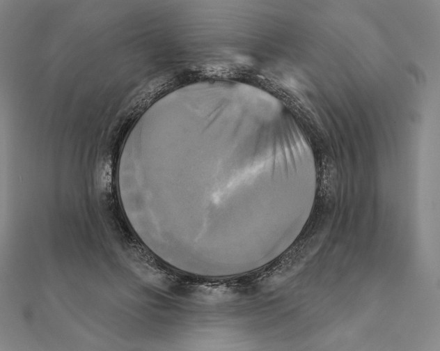 X0000111480502200908111204