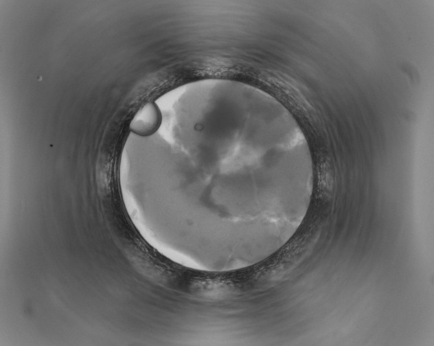 X0000111480503200908111204