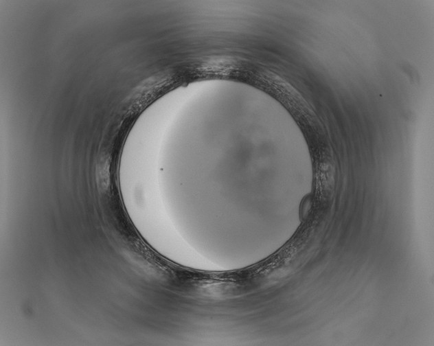 X0000111480504200908111204
