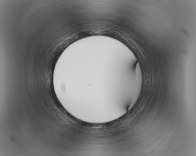 X0000111480505200908111204