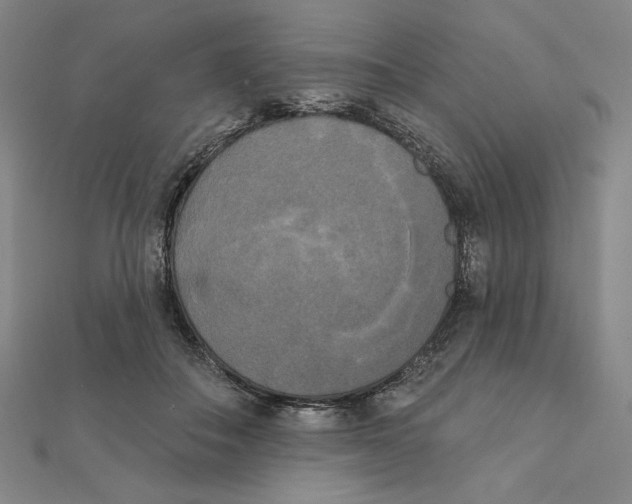 X0000111480506200908111204