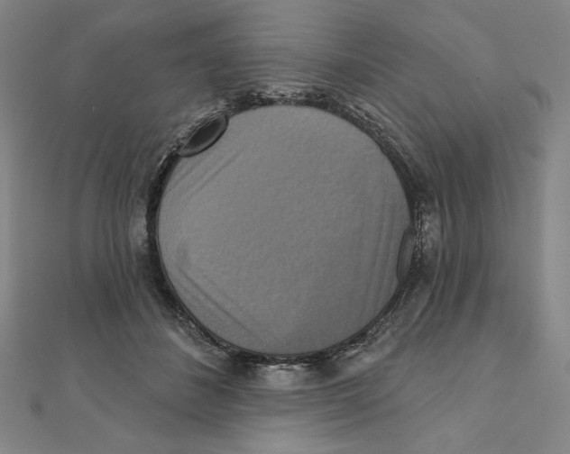 X0000111480508200908111204