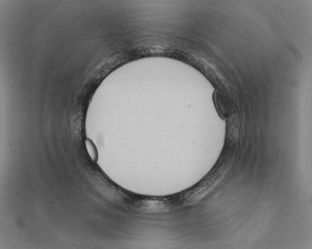 X0000111480509200908111204