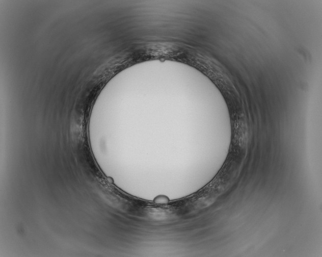 X0000111480510200908111204