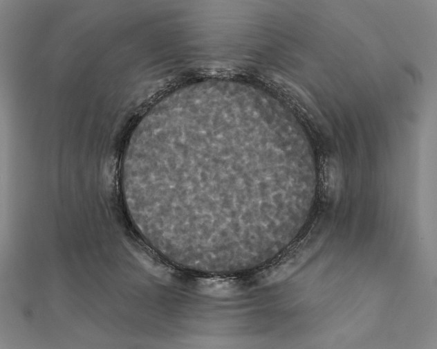 X0000111480511200908111204