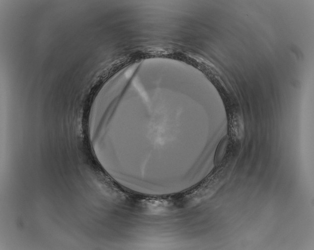 X0000111480512200908111204