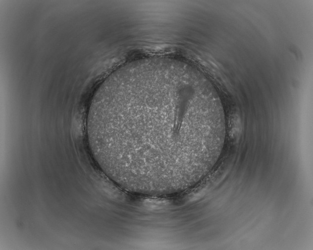 X0000111480515200908111204